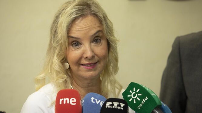 La fiscal superior de Andalucía, Ana Tárrago, en una comparecencia reciente.