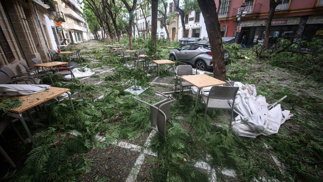 Daños del temporal en la calle Porvera.