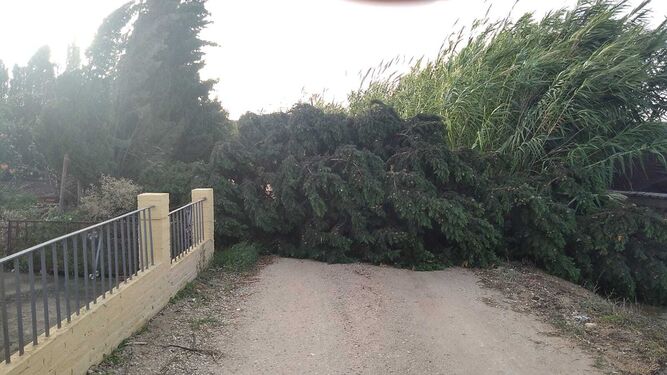 Una vía cortada en Cuartillos, ayer a causa del temporal.