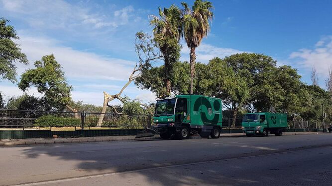 Dos vehículos de limpieza actúan en Pery Junquera, mientras el Parque del Oeste con árboles rotos permanece cerrado.