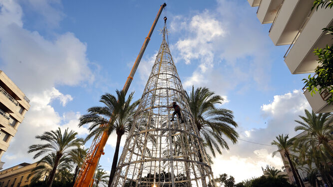 Instalación del árbol de Navidad en la plaza del Arenal de Jerez.