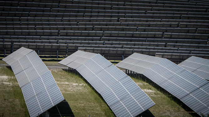 Placas de una planta fotovoltaica instalada en Jerez.