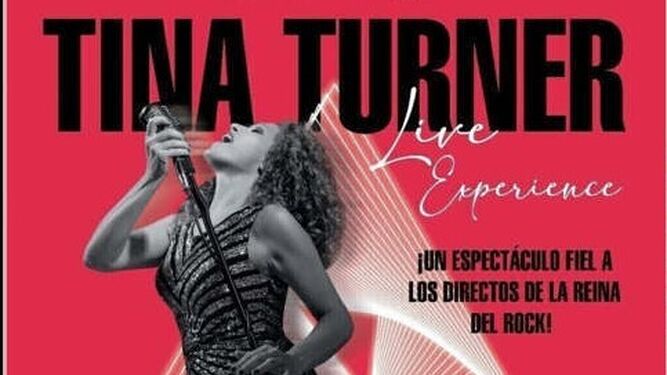Homenaje a Tina Turner