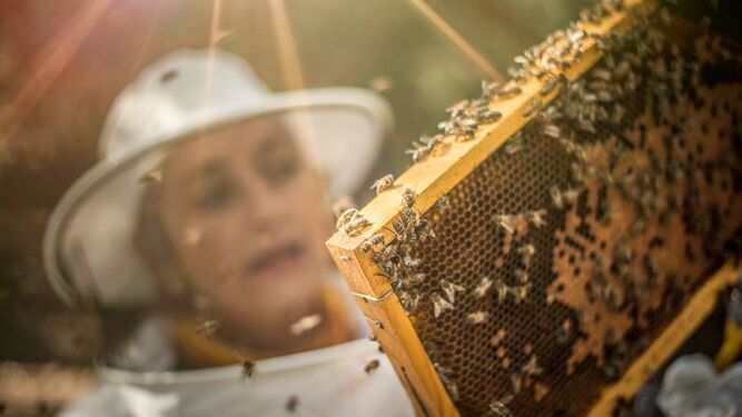 Fotografía titulada “La apicultora optimista” hecha por Francisco Javier Domínguez García