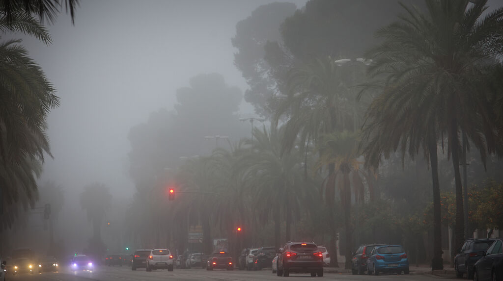 Densa niebla en Jerez