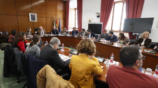 Sesión de la Diputación Permanente del Parlamento de Andalucía en la que se refrendó la subida de sueldo de 270 altos cargos.
