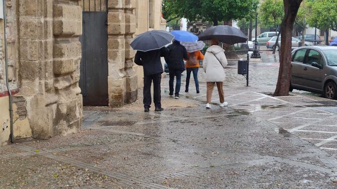 Peatones con paraguas en el centro de Jerez.