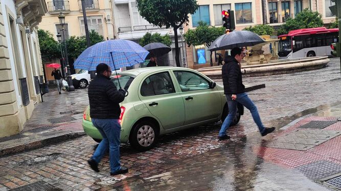 Varias personas con paraguas, esta semana en el centro de Jerez.