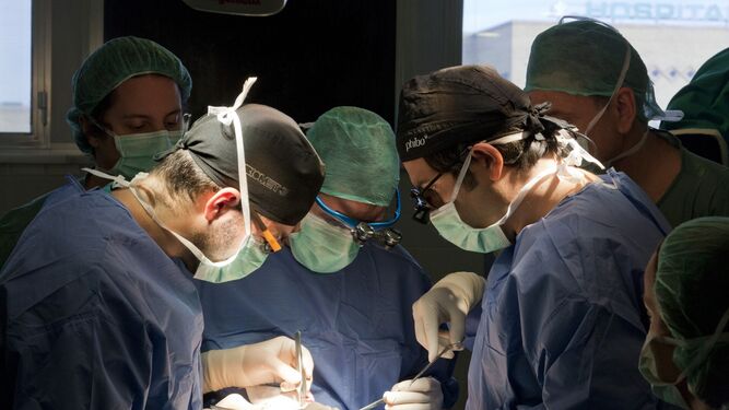 Un trasplante de órganos en un hospital del SAS