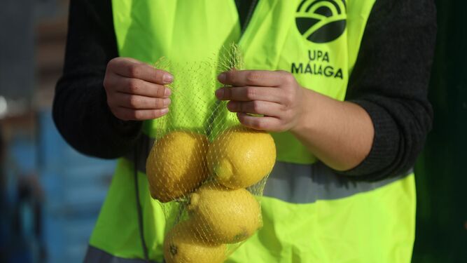Agricultores reparten 3.000kg de limones en Málaga en denuncia por “la ruina” de los costes de producción