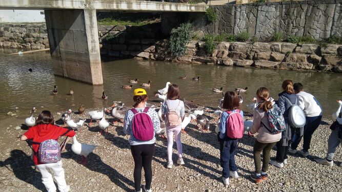 Un grupo de escolares del CEIP Tierno Galván de Cádiz capital durante la visita al río Guadalete