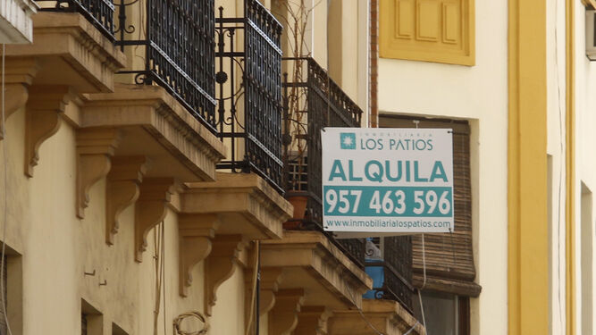 Oferta de alquiler en una calle de Córdoba.