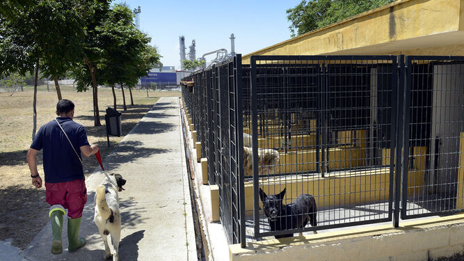 Imagen del Centro de Protección Animal de Jerez.