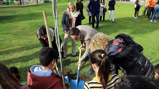 Jaime Espinar plantando un árbol  en una de las acciones del Plan de Arbolado 2024-2027