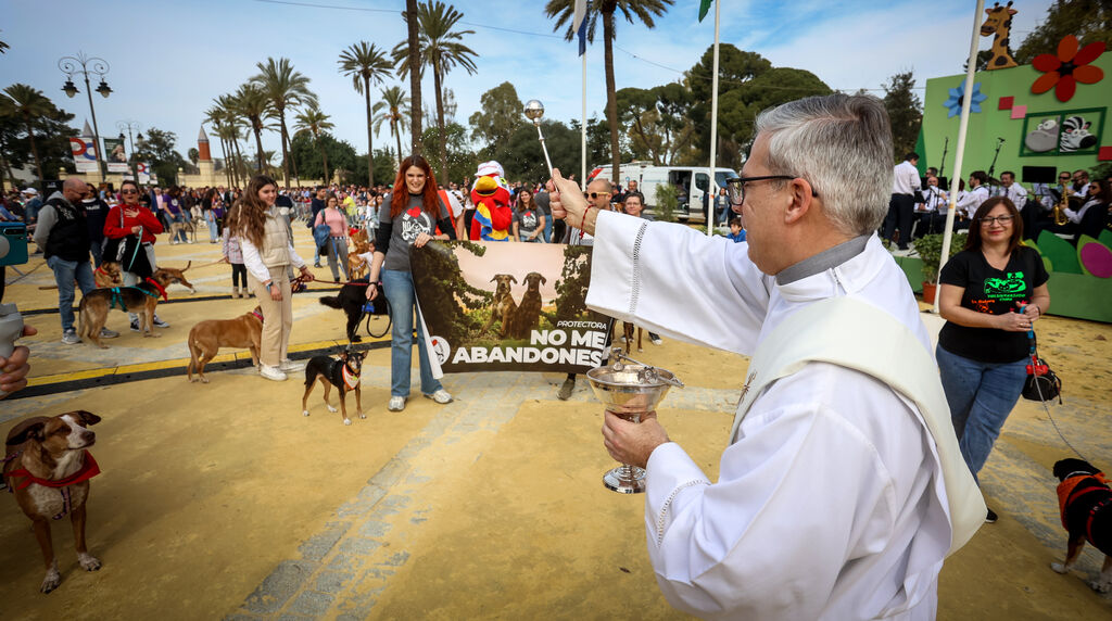 Fiesta de san Ant&oacute;n 2024 en Jerez