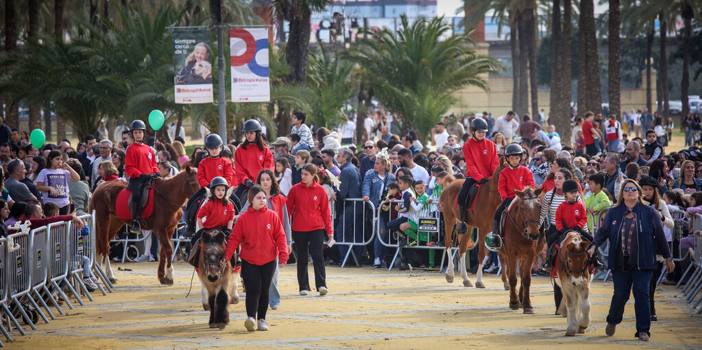 Fiesta de san Ant&oacute;n 2024 en Jerez