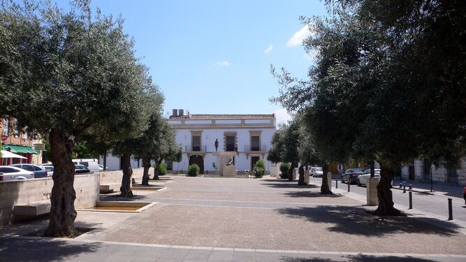 Olivos en la plaza San Andrés de Jerez.