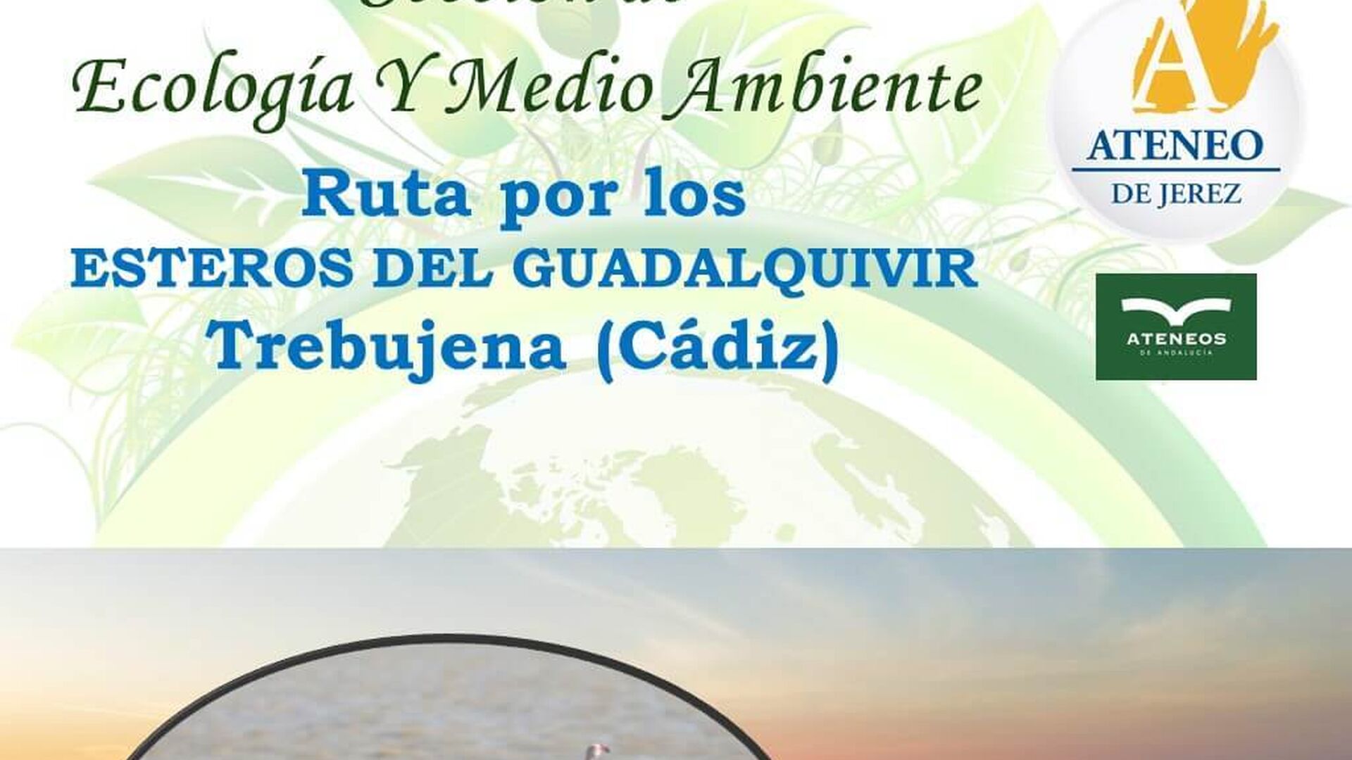 Ruta por los esteros del Guadalquivir