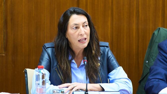 La consejera de Igualdad, Loles López, esta semana en el Parlamento de Andalucía.
