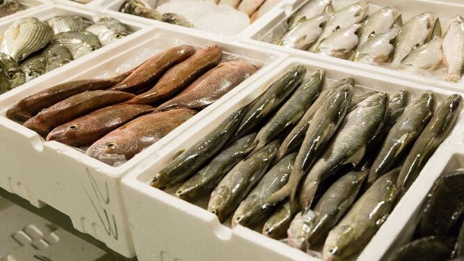 ¿Por qué es perjudicial consumir pescado con altos índices de mercurio?
