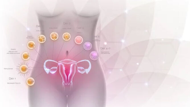 Cáncer de ovario y otras patologías ginecológicas frecuentes