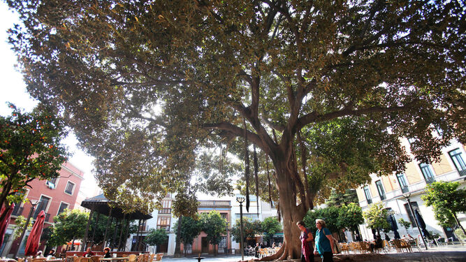 Imagen de la plaza del Banco de Jerez.