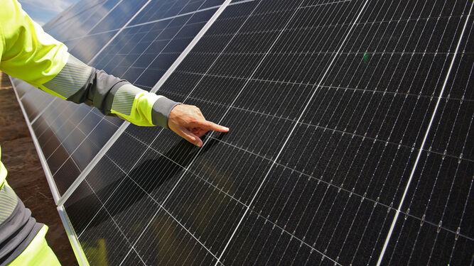 Una placa solar de una planta fotovoltaica de Jerez.